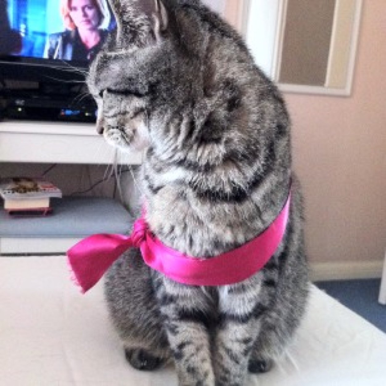 WizzKiz's profile picture. Aspiring author, occasional fanfic writer, adventuring through life one pixel at a time.