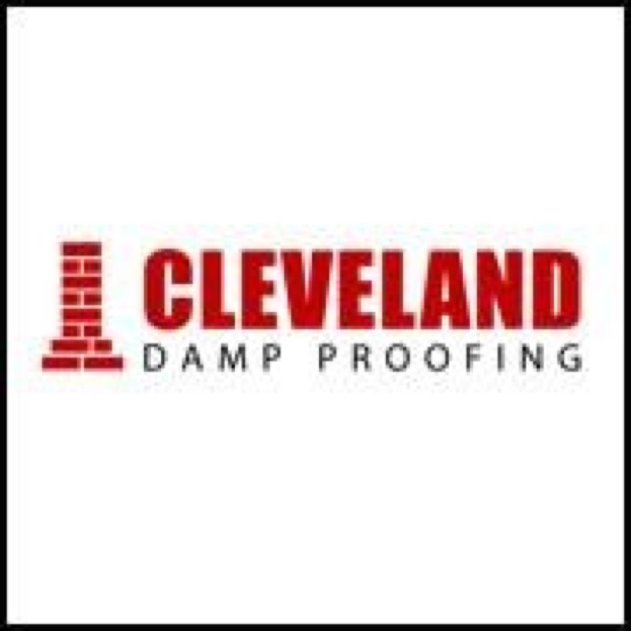 Solving all damp problems throughout the Cleveland area!

We treat rising damp, penetrating damp, wet & dry rot & woodworm!