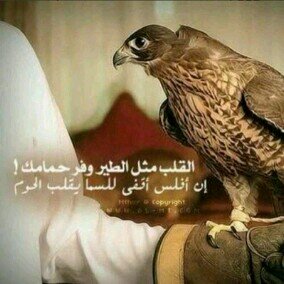 صدفه خير من الف ميعاد