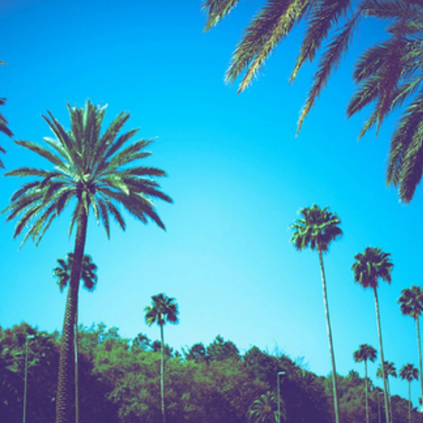 The past can hurt but the way i see it,you can either run from it or learn from it!
Follow Me- I Follow Back! 3