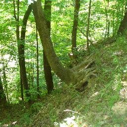 flutterfly615's profile picture. 