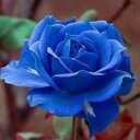 Martha Fitzpatrick - @Mafitz38 - Twitter