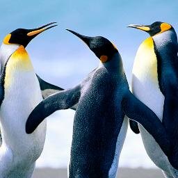 JustNeedUpdates's profile picture. All about those social media updates.