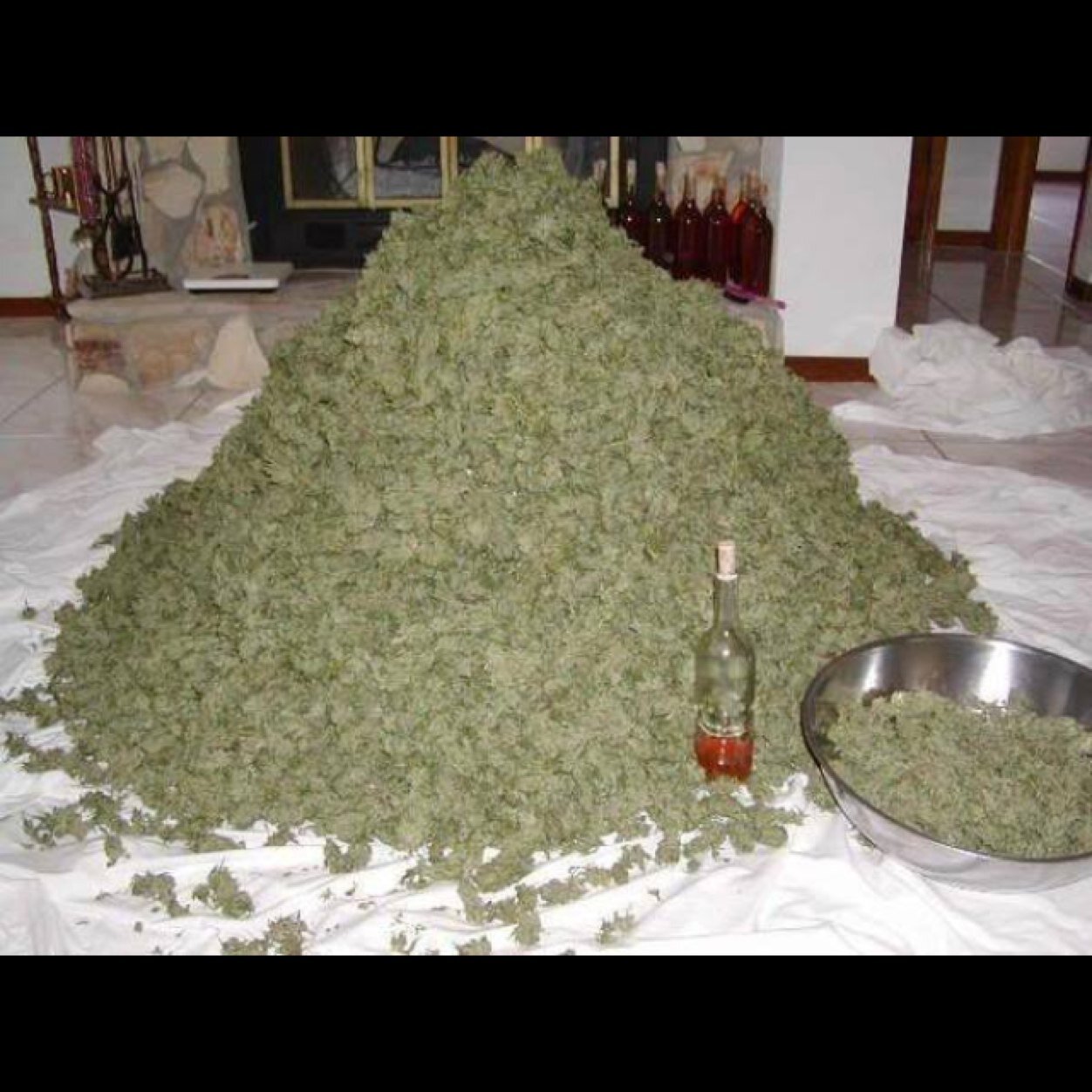 edortiz83's profile picture. 