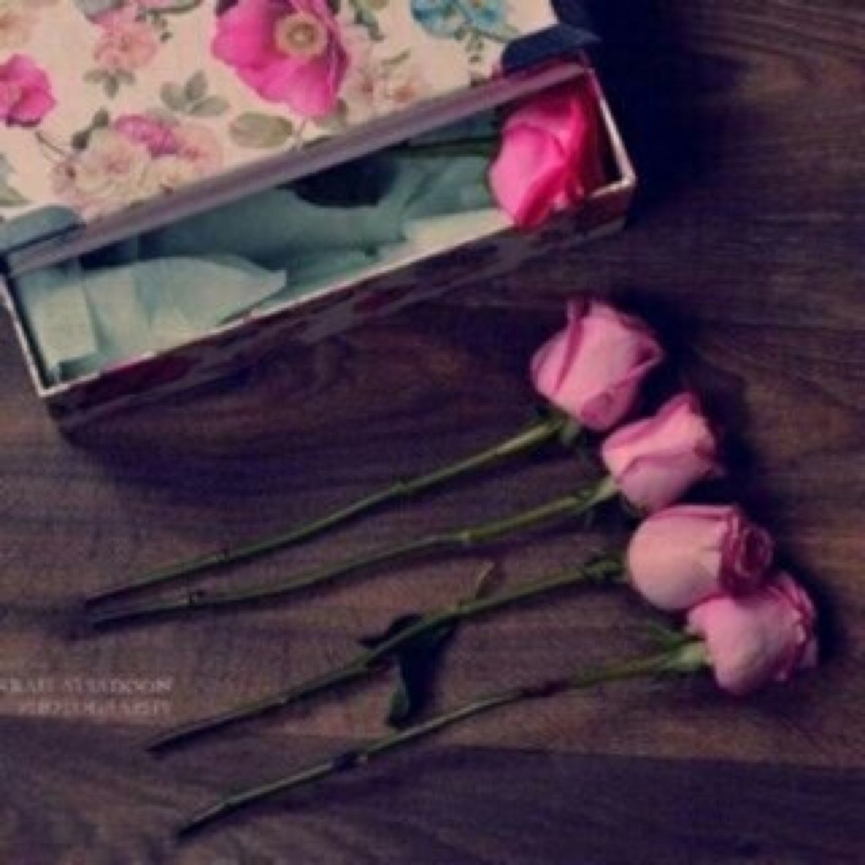 AL_Harbi16's profile picture. 