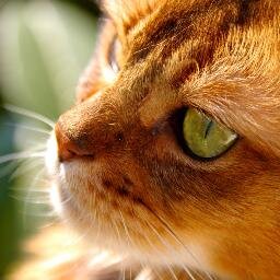 L'information ne suffit pas à changer un comportement. Soyez vous-même le changement que vous voudriez voir dans le monde.