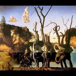 rubentorz's profile picture. 