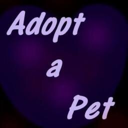 Adopt Your Pets - Where Pets Are Family Too