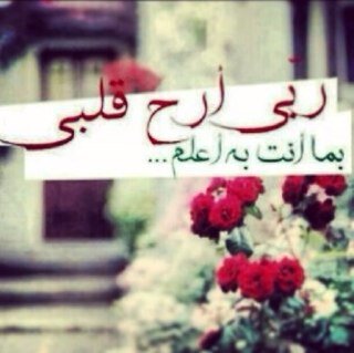 قد يكون الرزق أحياناً على هيئة قُلوب يُرسلها الله اليكَ لـ تزيد حياتك حياة♥️