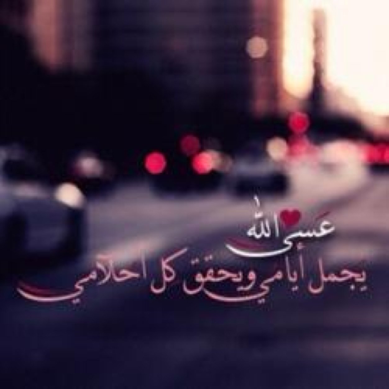 shomookh511's profile picture. 