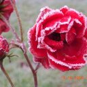 michelle petit - @mimifa27 - Twitter