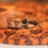 ReptileInsider1's profile image