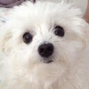 Beau Rich - @BeauBeausRich - Twitter