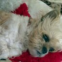 Stephen Staples - @LAPooldude - Twitter