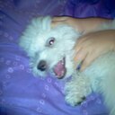 Noah Esquivel - @esquivel_noah - Twitter