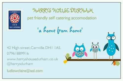 visit Durham in comfort at Harrys House SC cottage.Quirky styling,large garden and hot tub. perfect for sightseeing,get togethers or a romantic break.