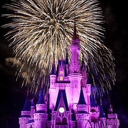Love campaigning, movies, baseball and Disney. All views my own.