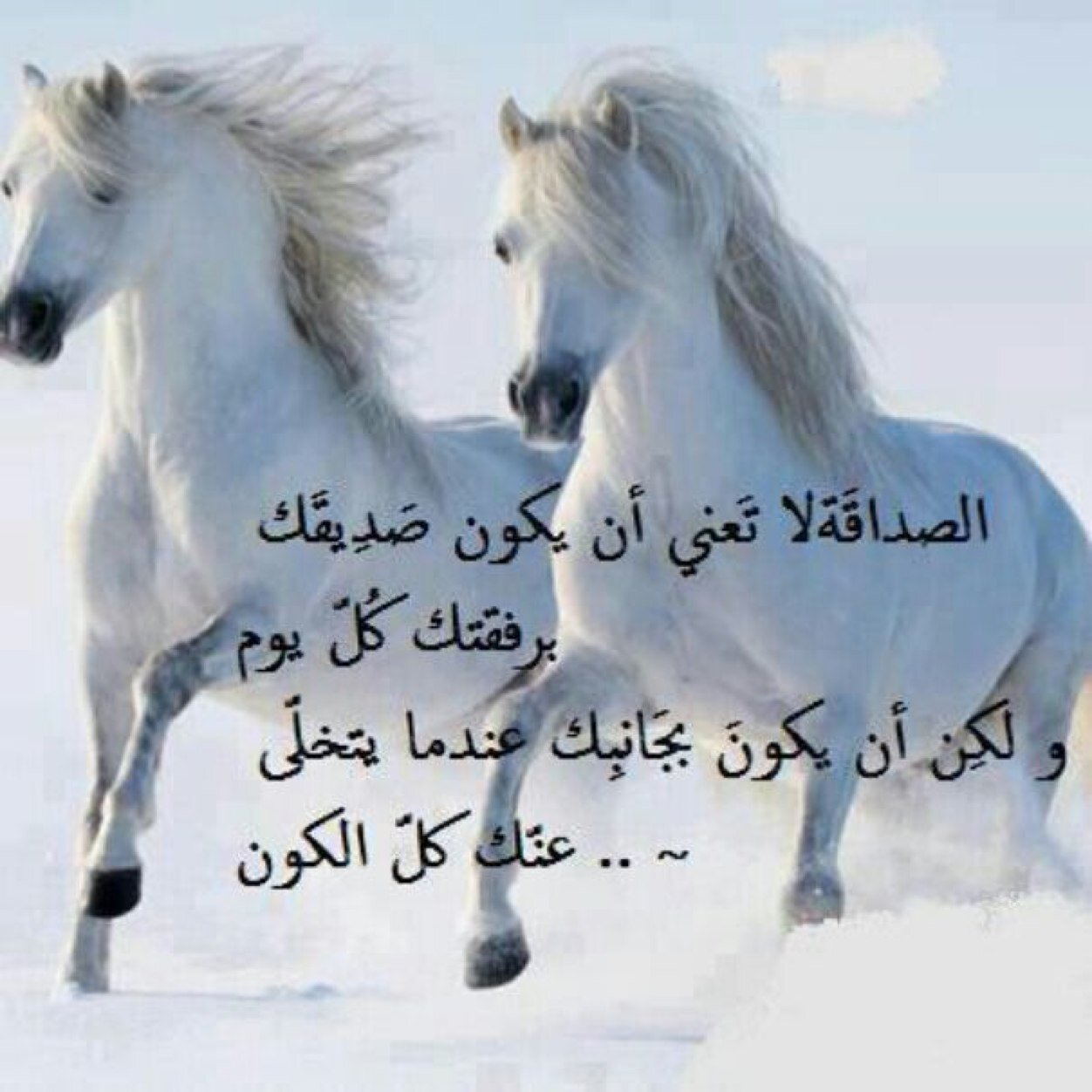 soso127m's profile picture. 