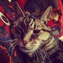 Jude Yates - @yates_jude - Twitter