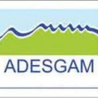 Adesgam (@adesgam) 's Twitter Profile