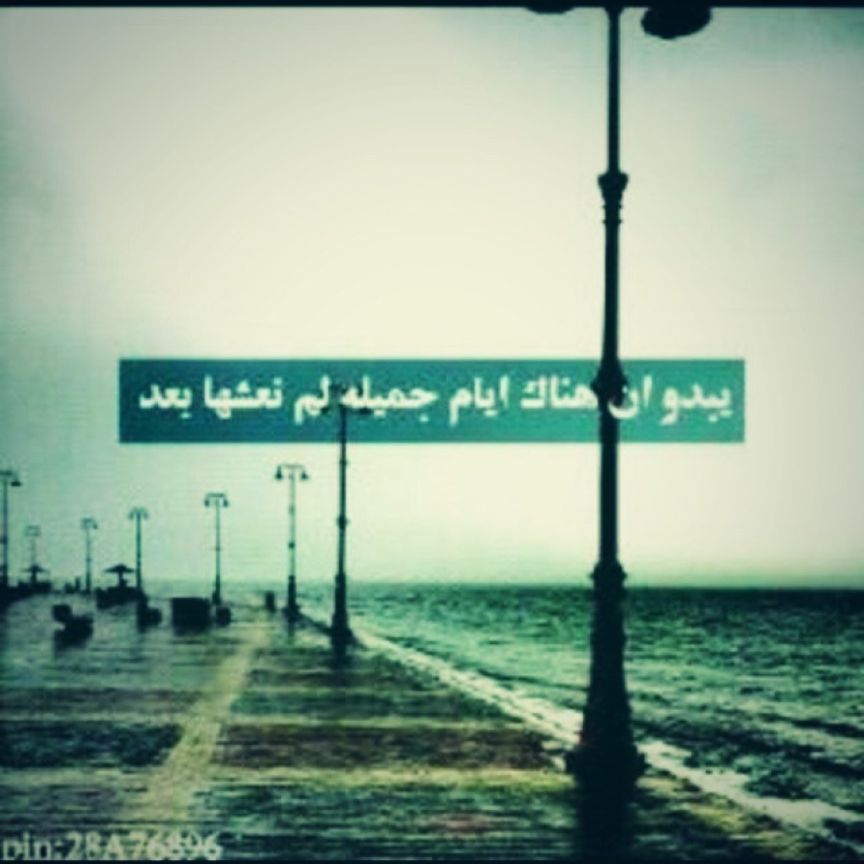 Folme .......FLoBak..