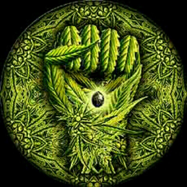 Love Weed & Art!