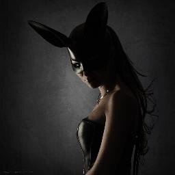 PHOTOGRAPHISTE