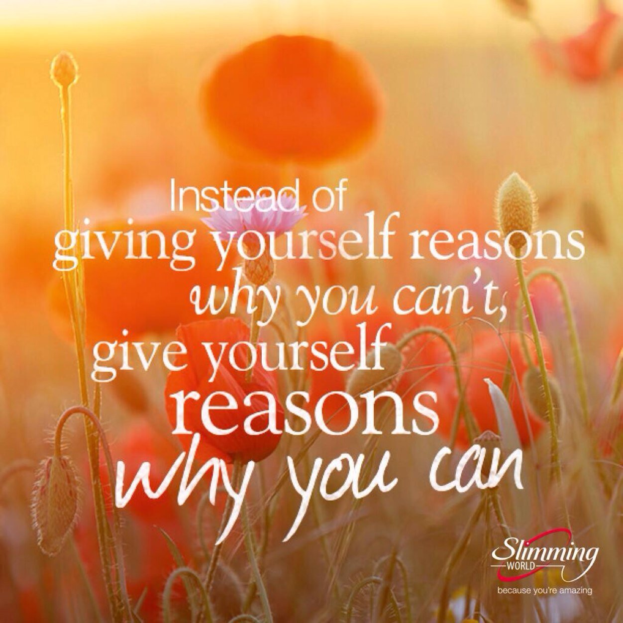 tking6902's profile picture. 