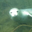 Colin Beard - @cibea - Twitter