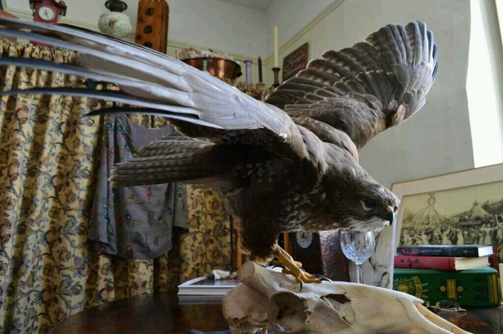 Antiques, Memorabilia and Collectibles. based in Banbury on Parsons St.
