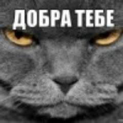 Интересное со всего мира - #ВзаимныйФолловинг, #followback