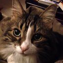 Darla Bean - @SweetDarlaBean - Twitter