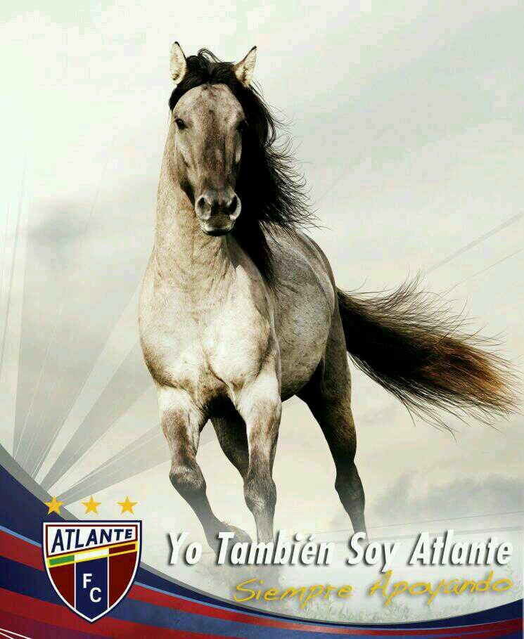 pedroreyna936's profile picture. 