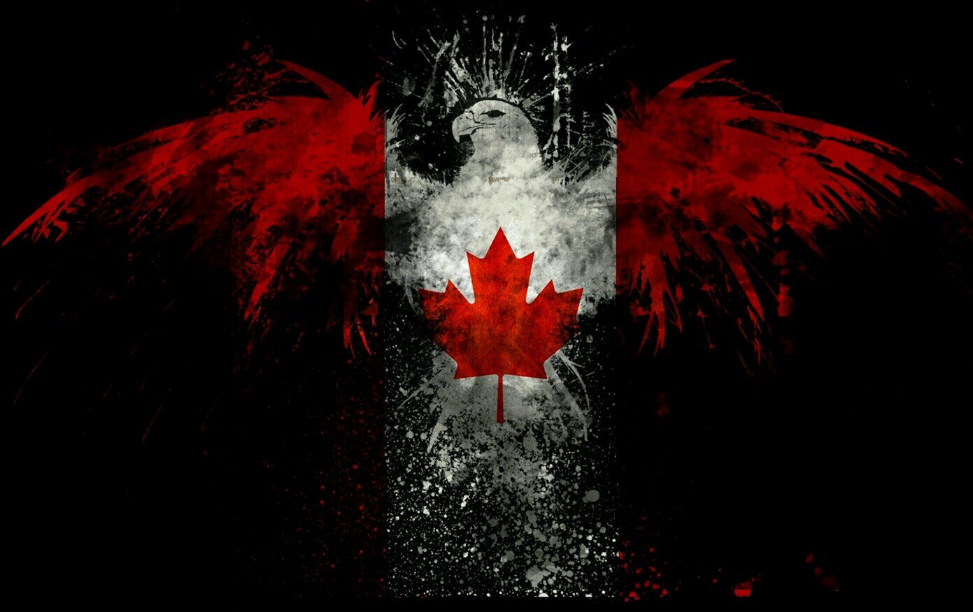 Deathsquad204's profile picture. #Deathsquad #Anonymous