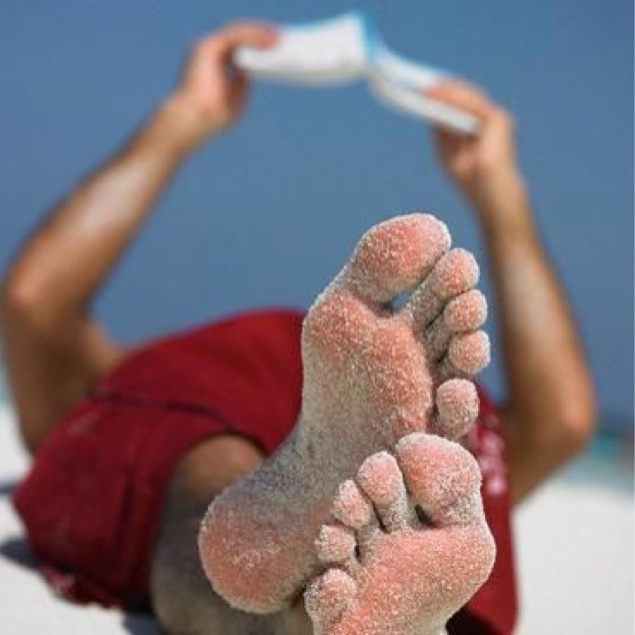 baboli__'s profile picture. 