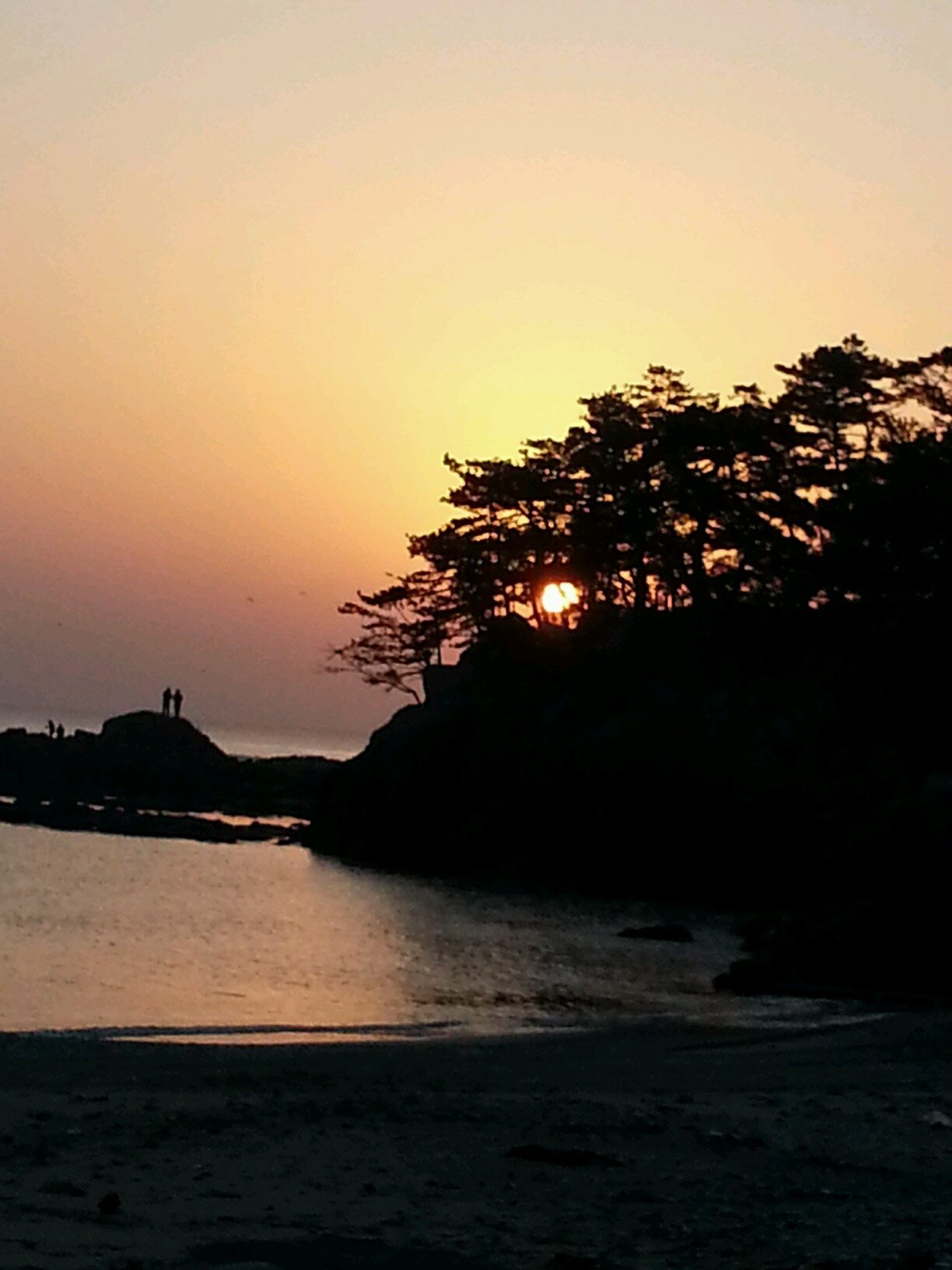 kmonami's profile picture. 