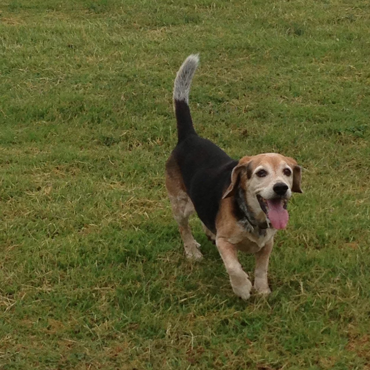 luisetorres68's profile picture. 