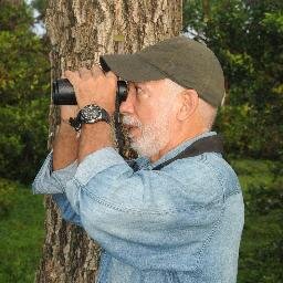 Frankespinza's profile picture. Manejo de Fauna Silvestre. Ecología de aves de humedales marinocosteros. Ecoturismo