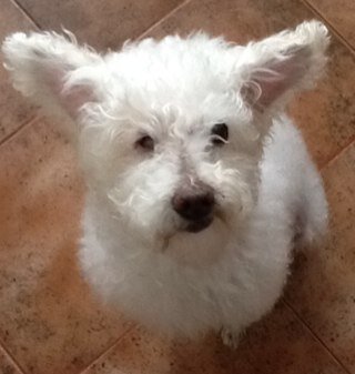 naddria's profile picture. 