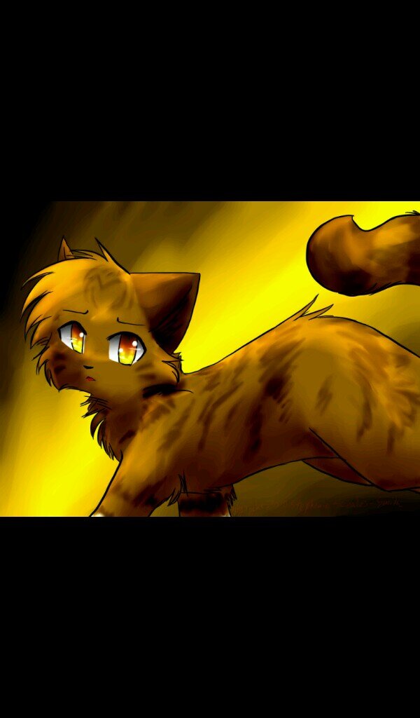 I'm Leafpool, A light tabby ginger she-cat with amber eyes. I am a warrior, I was a medicine cat of Tc. (Clan:None) (Mate:none)