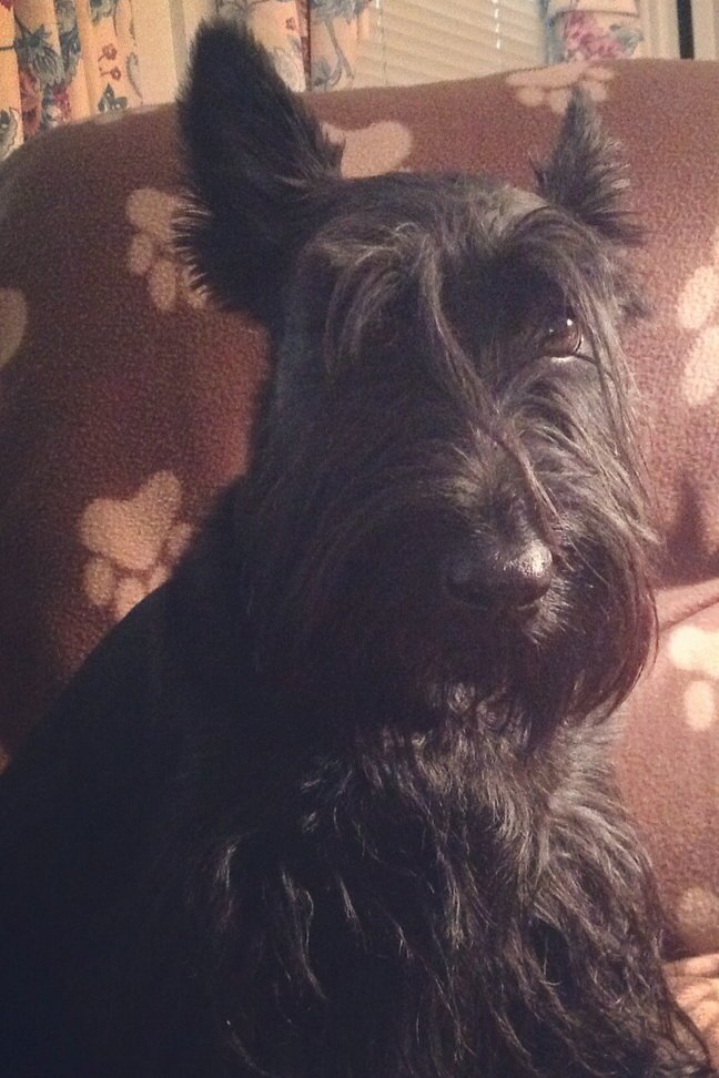 pmilucy's profile picture. 