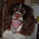 Janice Akin - @JAkin05 - Twitter