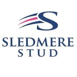 SledmereStud Profile Picture