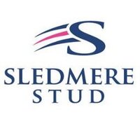Sledmere Stud(@SledmereStud) 's Twitter Profile Photo