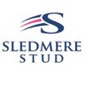 SledmereStud's profile picture. Sledmere Stud has an illustrious history as a thoroughbred nursery and has been specifically developed to accommodate the needs of thoroughbreds.