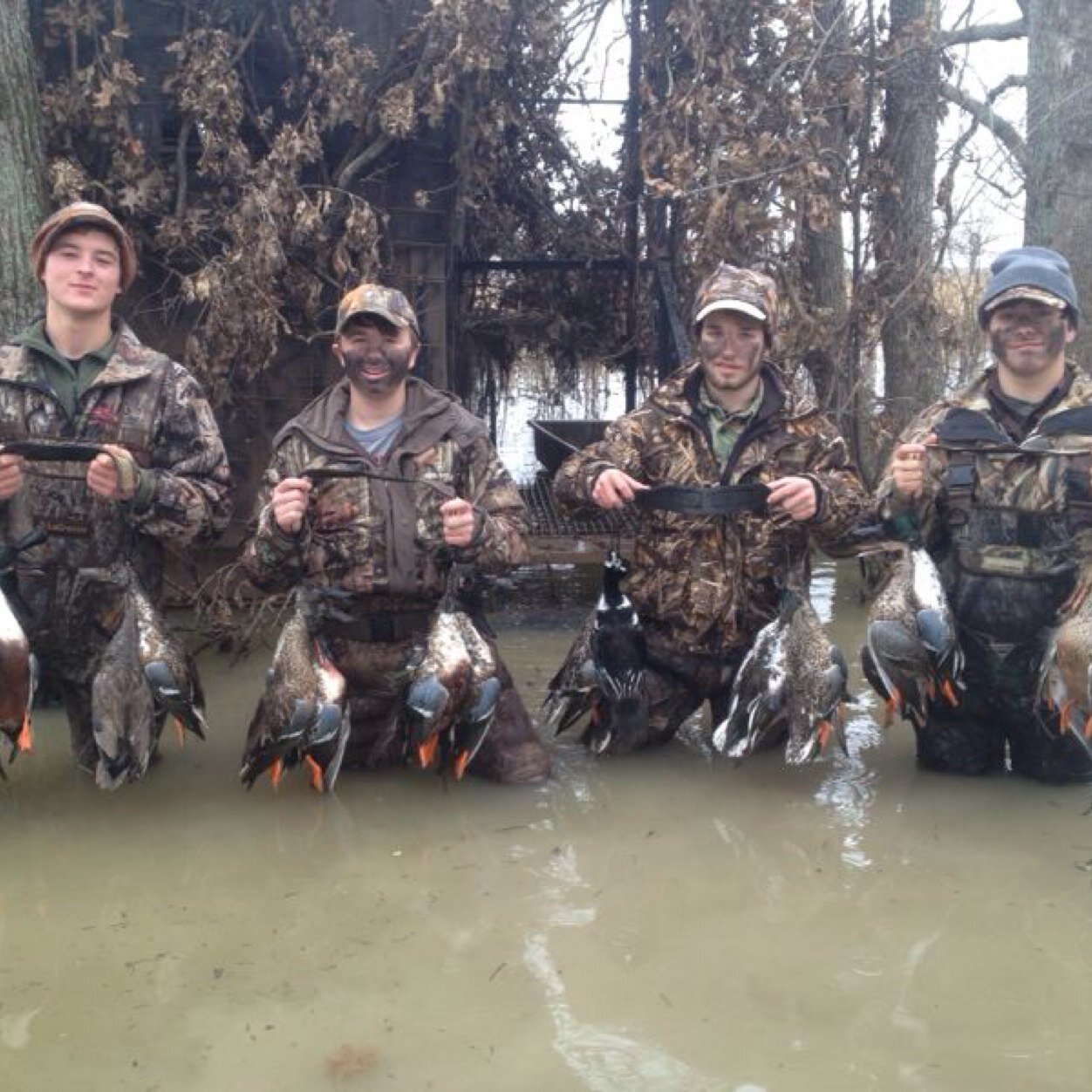 cordevans's profile picture. 