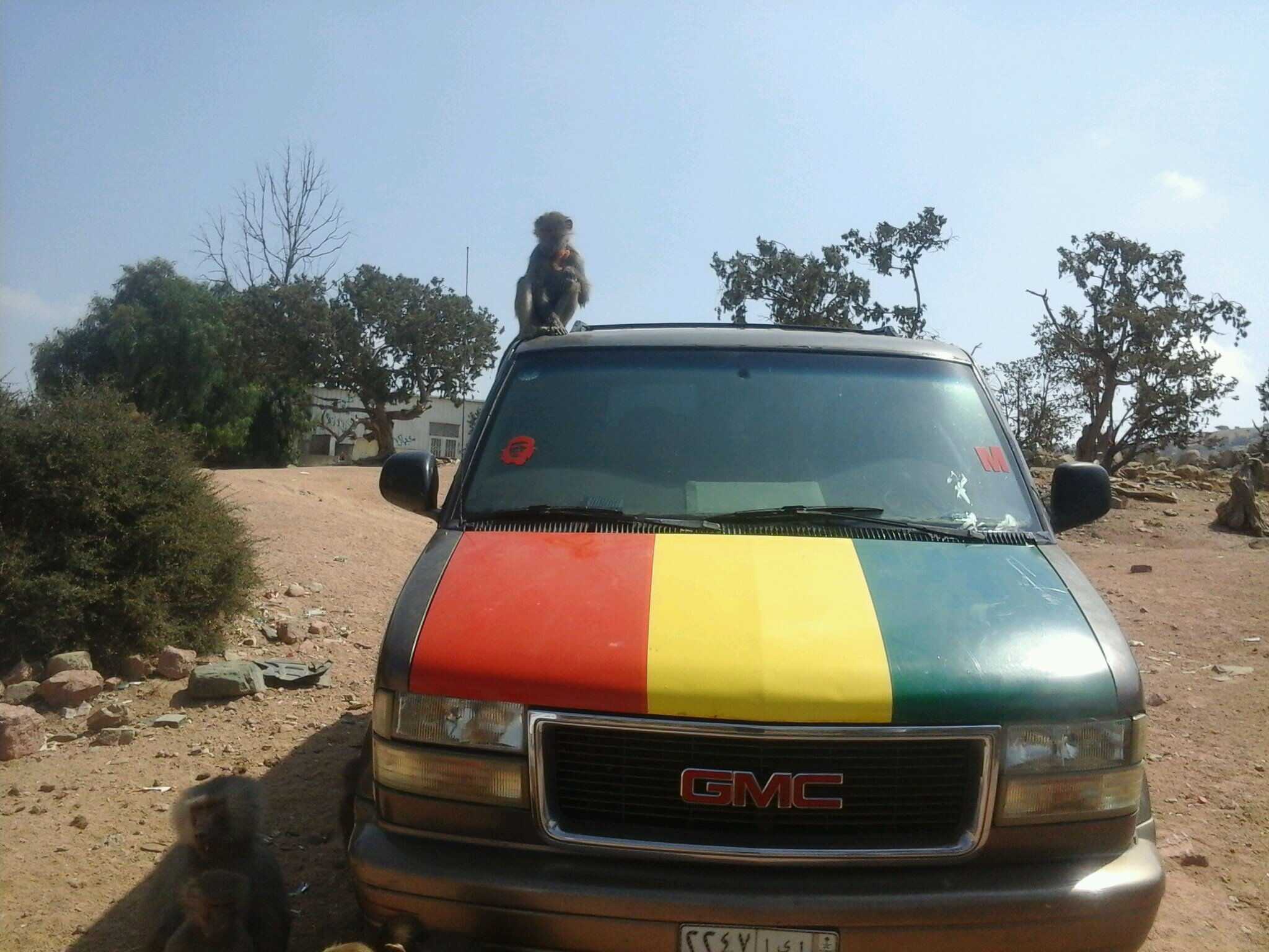 abraheem2010351's profile picture. 