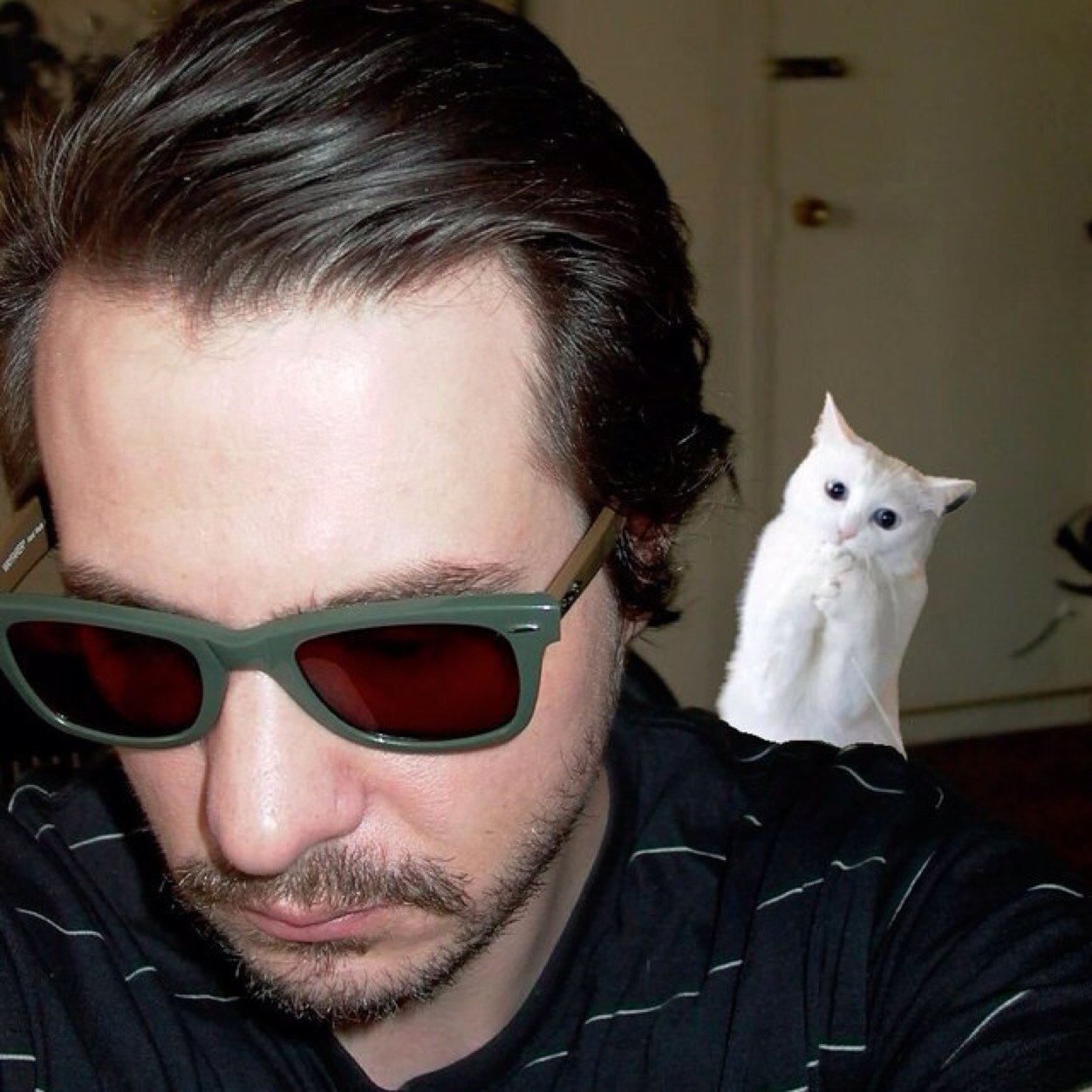 cxmorrissey's profile picture. 