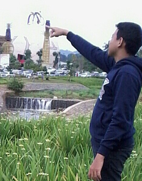 kifly_analyst Profile Picture