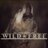 WildWisdom